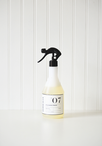 N07 ALL PURPOSE CLEANER