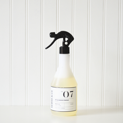 N07 ALL PURPOSE CLEANER