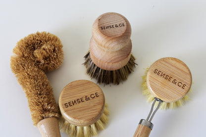 Brushes